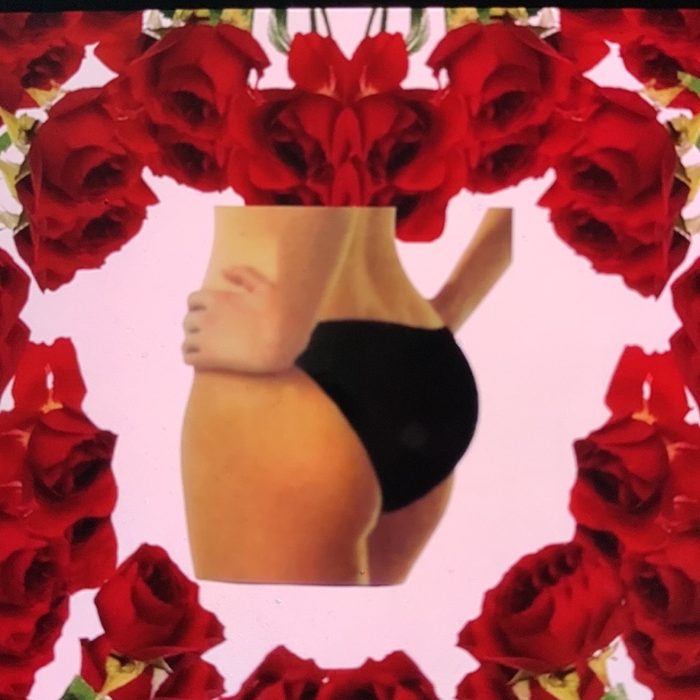 NEW BRAZILIAN SECRET  Panty  has Anatomical Enhances your Body  Size L